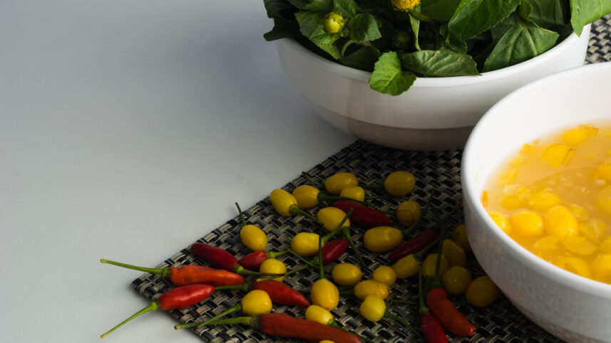 Na República do Tucupi, a boa política se faz à mesa