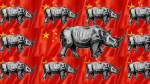 Na China, tenha medo dos ‘rinocerontes cinzas’