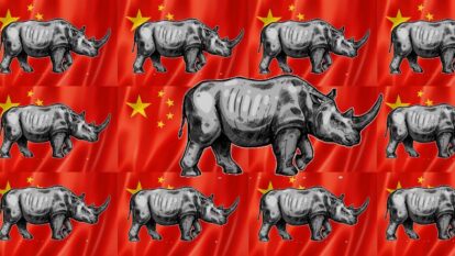 Na China, tenha medo dos 'rinocerontes cinzas'