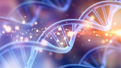 DNA humano: a nova aposta do Blackstone