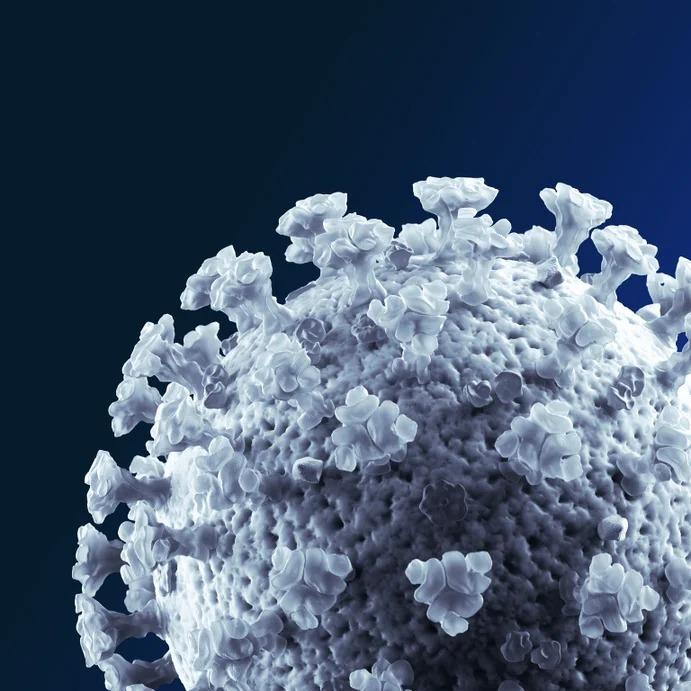 Coronavírus: Como proteger nossas vidas e meios de sobrevivência