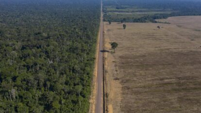 A Carbonext ajuda empresas a neutralizar seu carbono — em pleno boom do ESG
