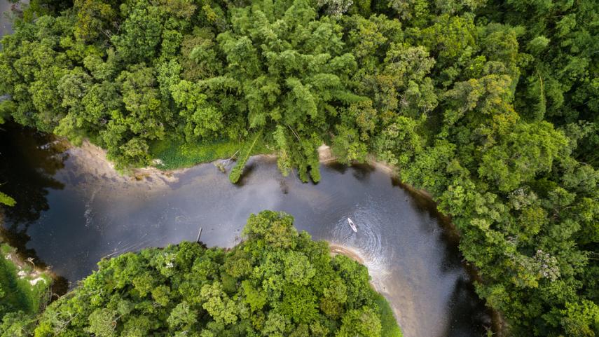Na Moss, uma rodada para manter a Amazônia de pé (lucrando com isso)