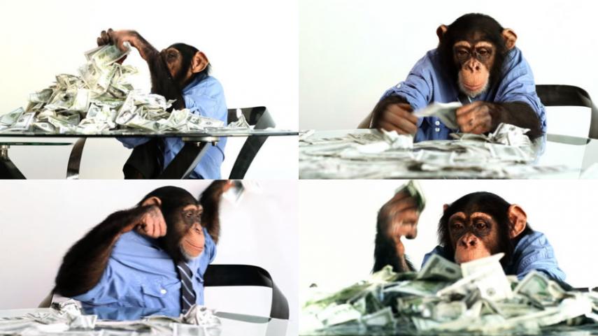 Itaú investe na Monkey Exchange