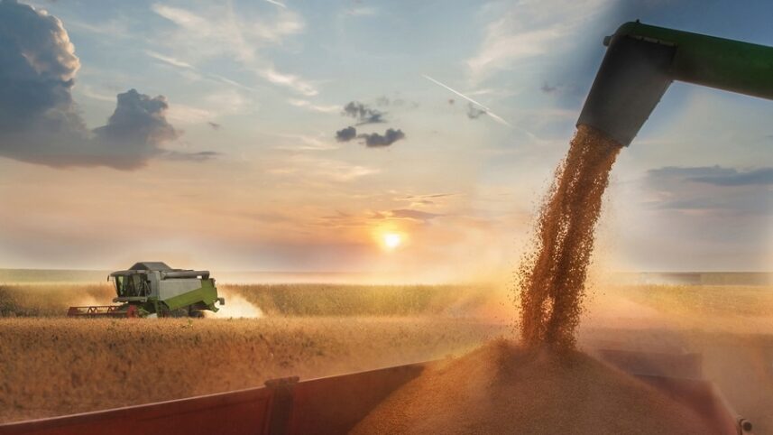 Por que a demanda por commodities agrícolas vai perder o ritmo