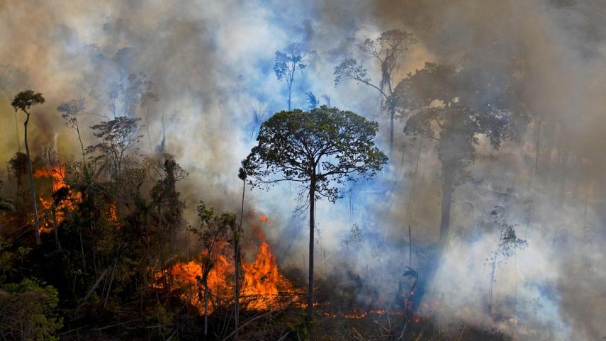 Investidores deveriam punir o Brasil pelo desmatamento, diz FT
