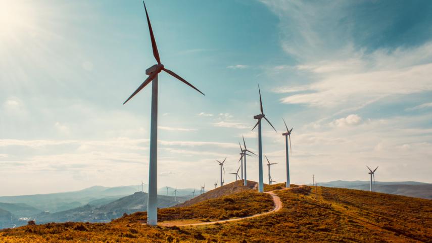 EXCLUSIVO: Prisma e Duferco criam gigante integrada de energia renovável