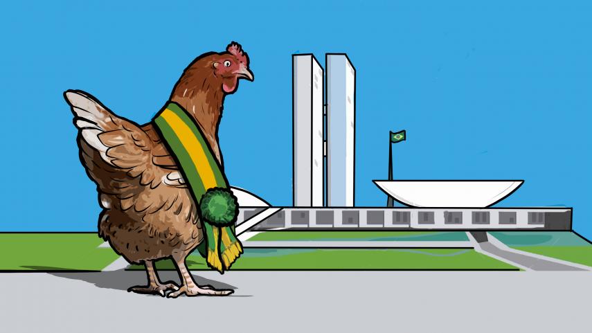 Brasil, Bolsonaro e o jogo da galinha
