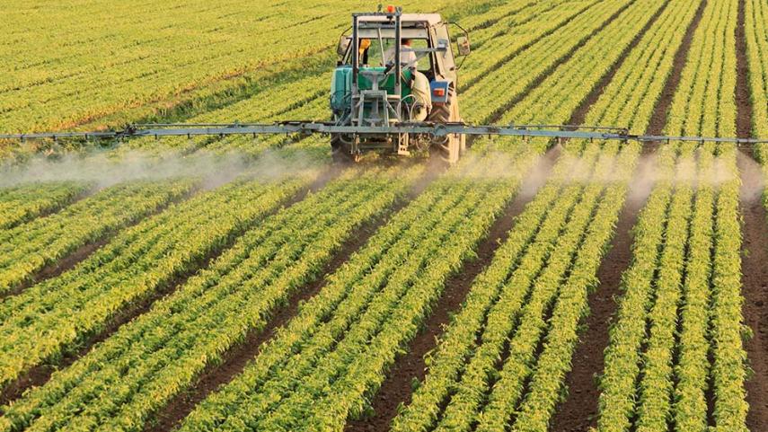 SLC Agrícola vale 40% mais em ‘nova fase’, diz BofA