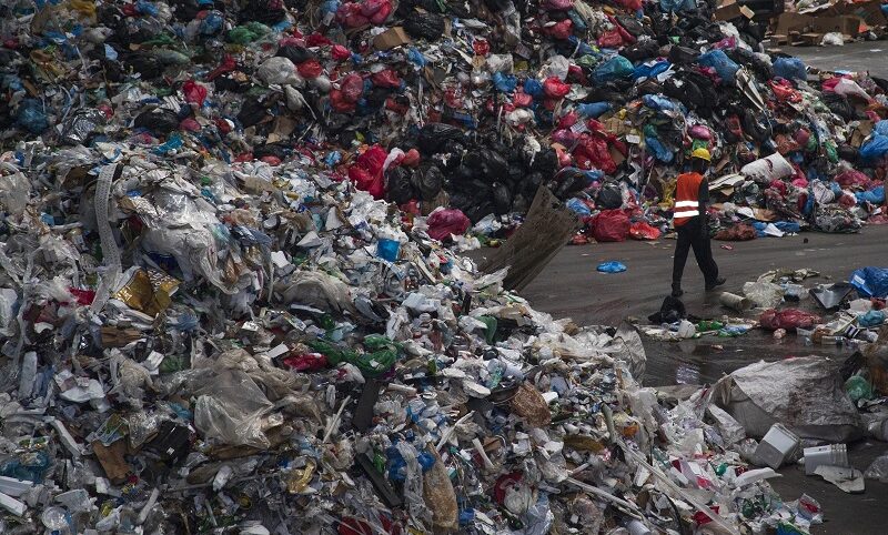 Latinha, garrafa pet, papel: eureciclo levanta R$ 100 milhões para escalar seus ‘créditos de reciclagem’