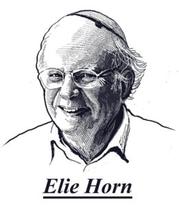 Elie Horn