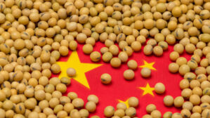 China investe para produzir alimentos; Brasil vai sofrer?