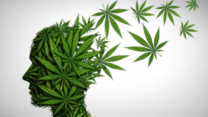 Cannabis medicinal: Conselho Federal de Medicina vai na contramão do mundo