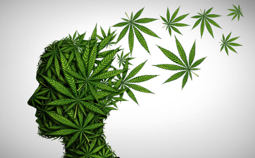 maconha medicinal