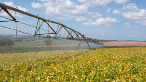 Crédito e clima ameaçam o agronegócio, diz EY