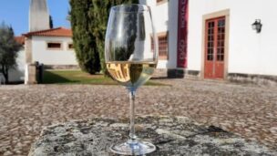 Dão: a nova vida dos ‘borgonhas de Portugal’