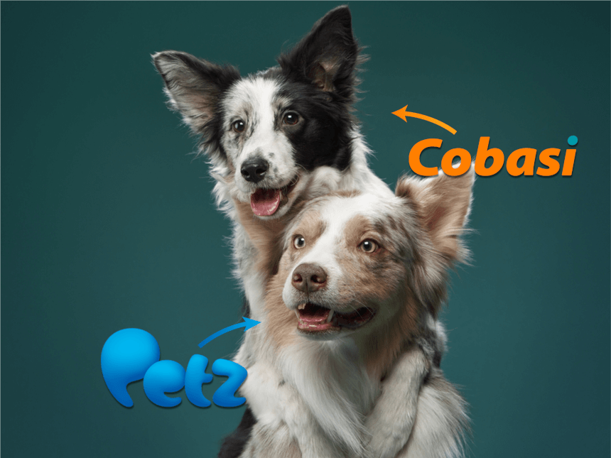Cobasi e Petz disputam o bilionário mercado de bichinhos no Brasil - Forbes