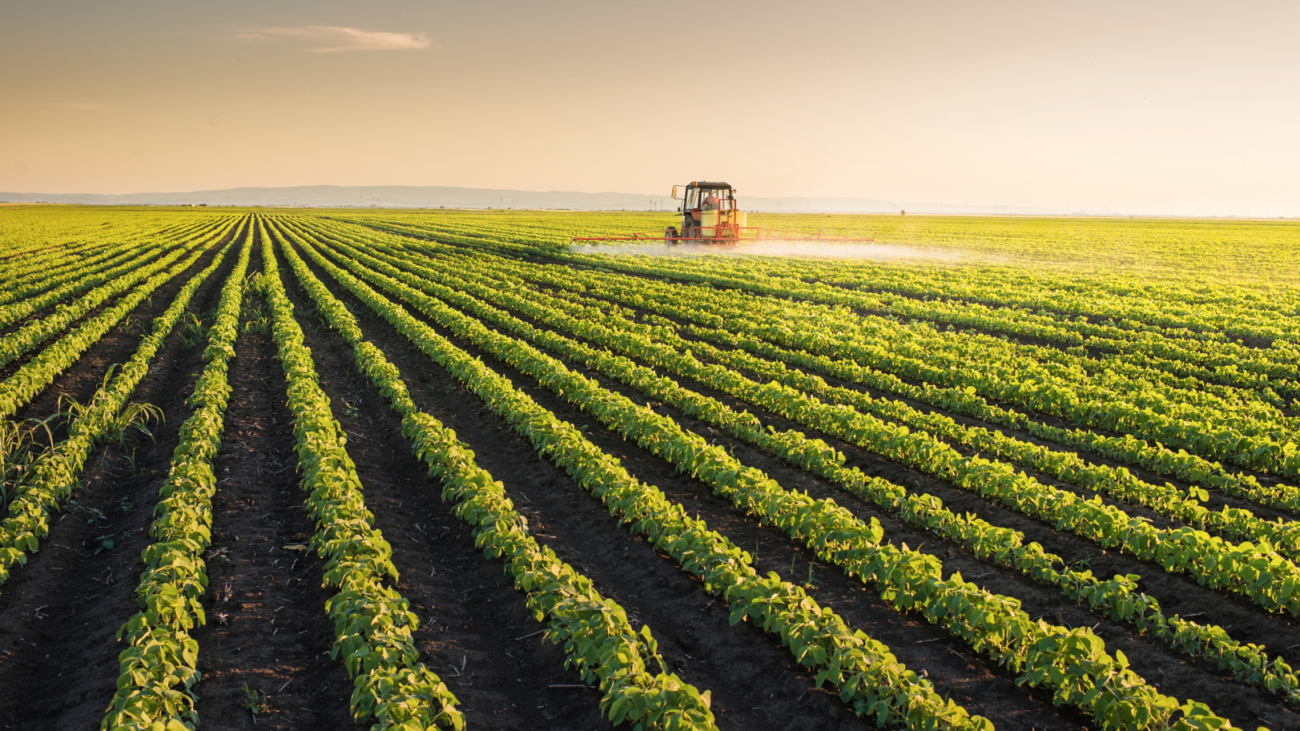 Acionista da NovAmérica se junta à Rural Ventures para investir em startups do agro