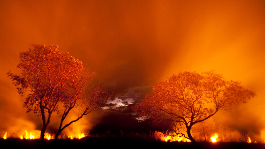 O Pantanal está morrendo. O que é possível fazer?