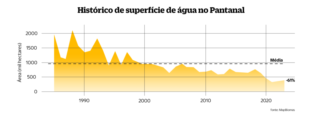 PANTANAL GRAFICO V22