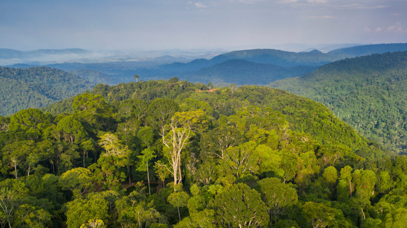 O impacto socioambiental dos 15 anos do Fundo Vale