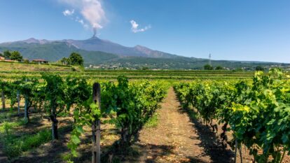 As maravilhas do Etna, a Borgonha do Mediterrâneo