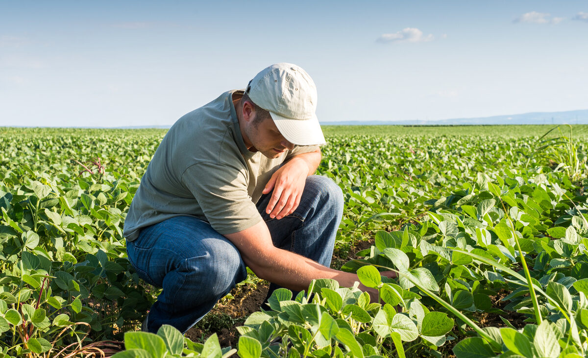 Com desafios no curto prazo, agricultor brasileiro investe no aumento da produtividade