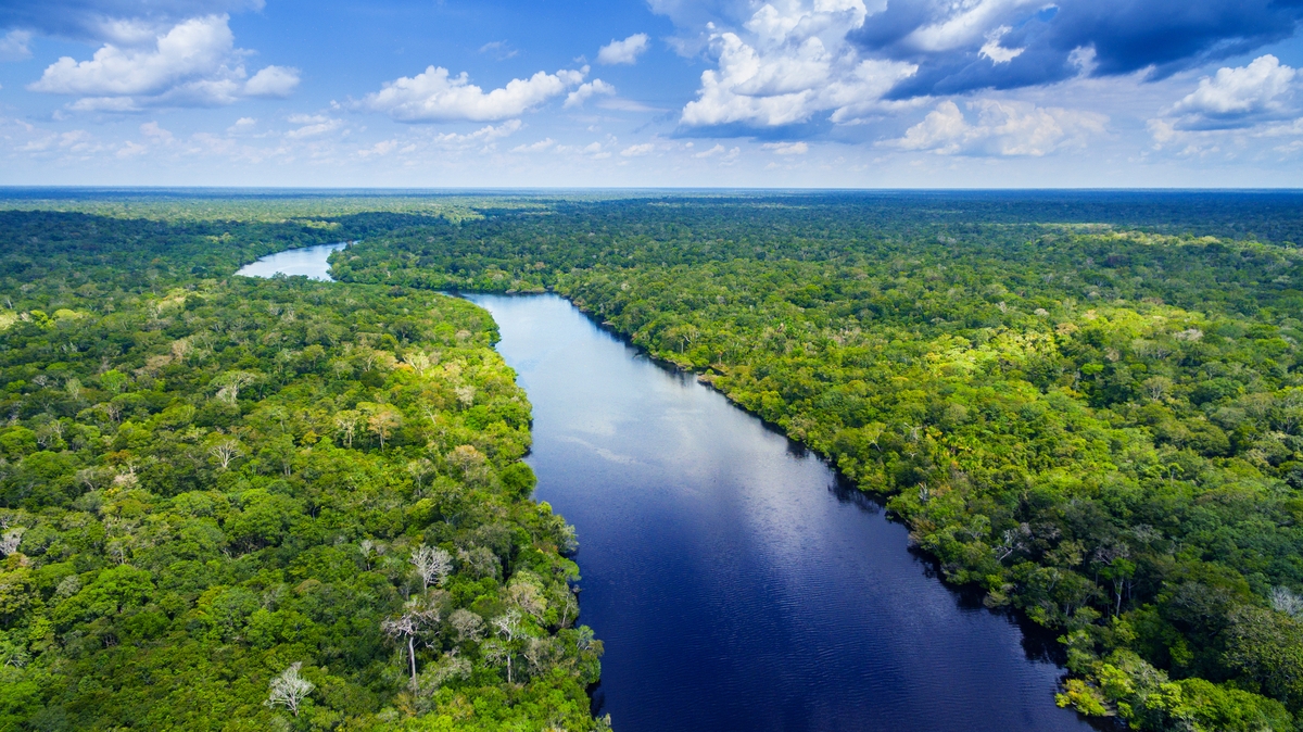 Brasil precisa mostrar que está pronto para liderar a economia verde global