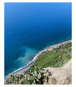 Vinhos da Madeira