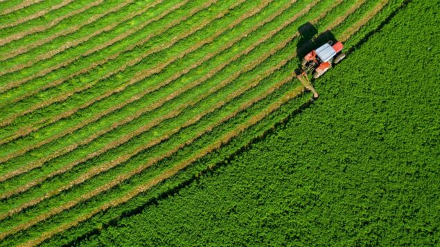 SLC compra R$ 900 milhões em terras com desconto de 40% sobre o portfólio