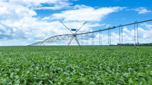 Agricultura irrigada “é como jogar na Champions League” – e o Brasil está avançando