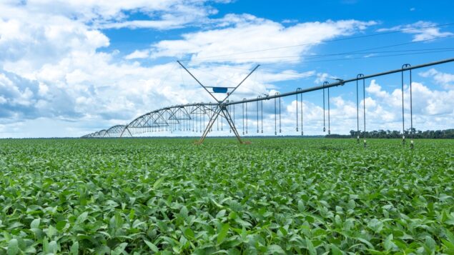 Agricultura irrigada “é como jogar na Champions League” – e o Brasil está avançando