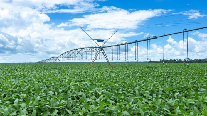 Agricultura irrigada “é como jogar na Champions League” – e o Brasil está avançando
