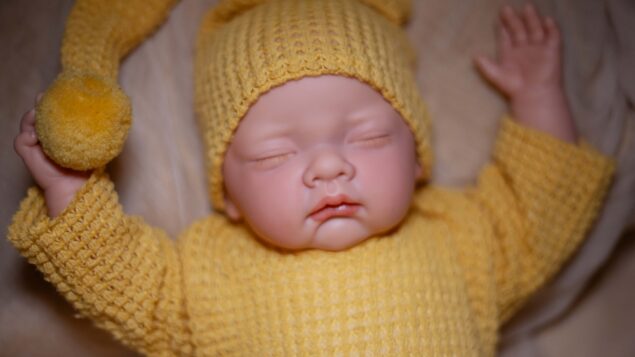 O curioso caso da “mãe” de ‘bebê reborn’ que queria licença-maternidade