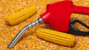 Inpasa, gigante do biocombustível, monta posição na Vibra