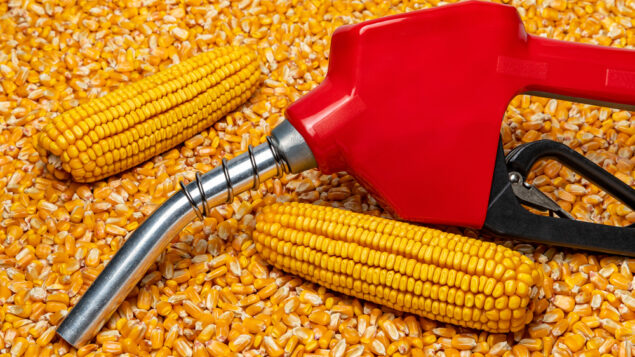 Inpasa, gigante do biocombustível, monta posição na Vibra