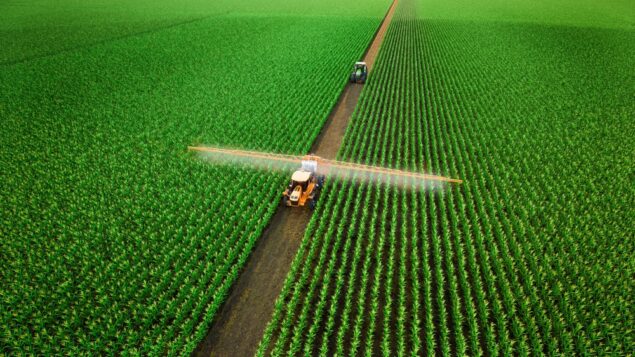 Fertilizantes em alta, Selic no teto: por que as margens da soja e do milho vão piorar