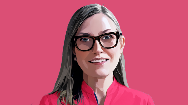 Cathie Wood: “Vamos buscar empresas de AI em mercados emergentes”
