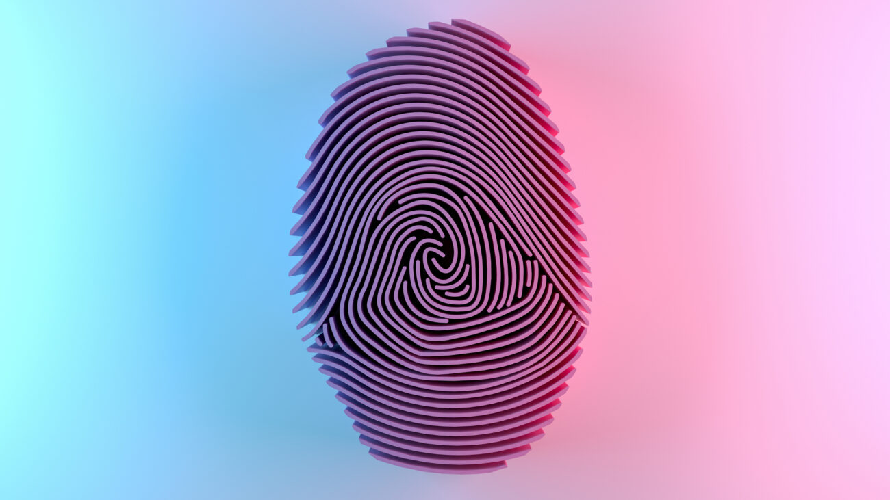 Individuação: tornar-se “si mesmo”