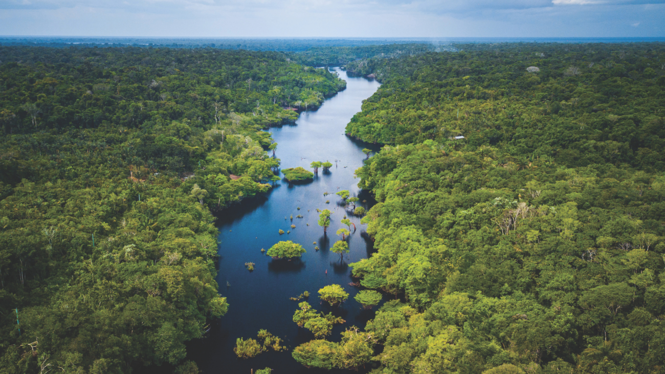 O plano ESG do Grupo Carrefour para o Brasil dos próximos 50 anos