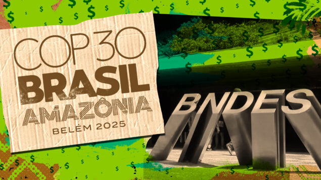 A COP30 e o paradoxo verde: há liquidez, mas falta confiança