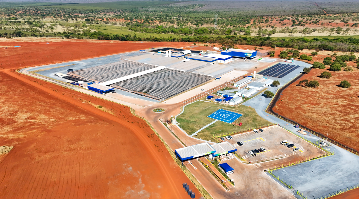 A macaúba vai para o céu: a jornada da Acelen para descarbonizar a aviação