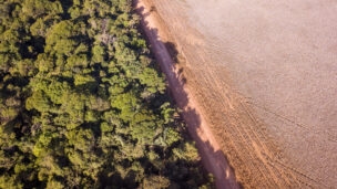 A moratória da soja acabou. O que virá em seu lugar?