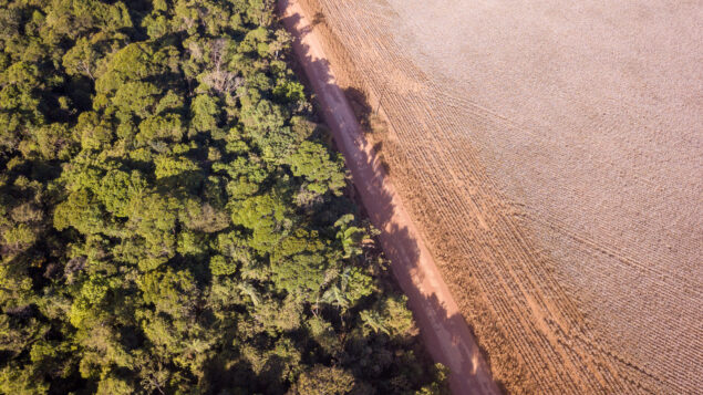 A moratória da soja acabou. O que virá em seu lugar?