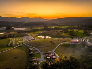 PHOTO 2026 01 26 08 39 07.jpg 3