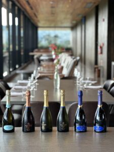 PHOTO 2026 01 26 08 54 20.jpg