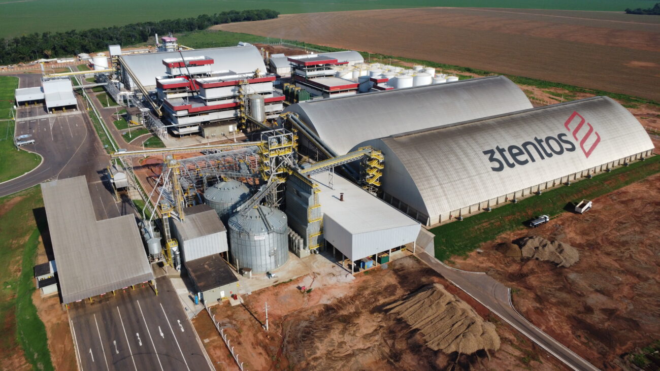 Para a 3tentos, a canola e a pecuária são a salvação da lavoura