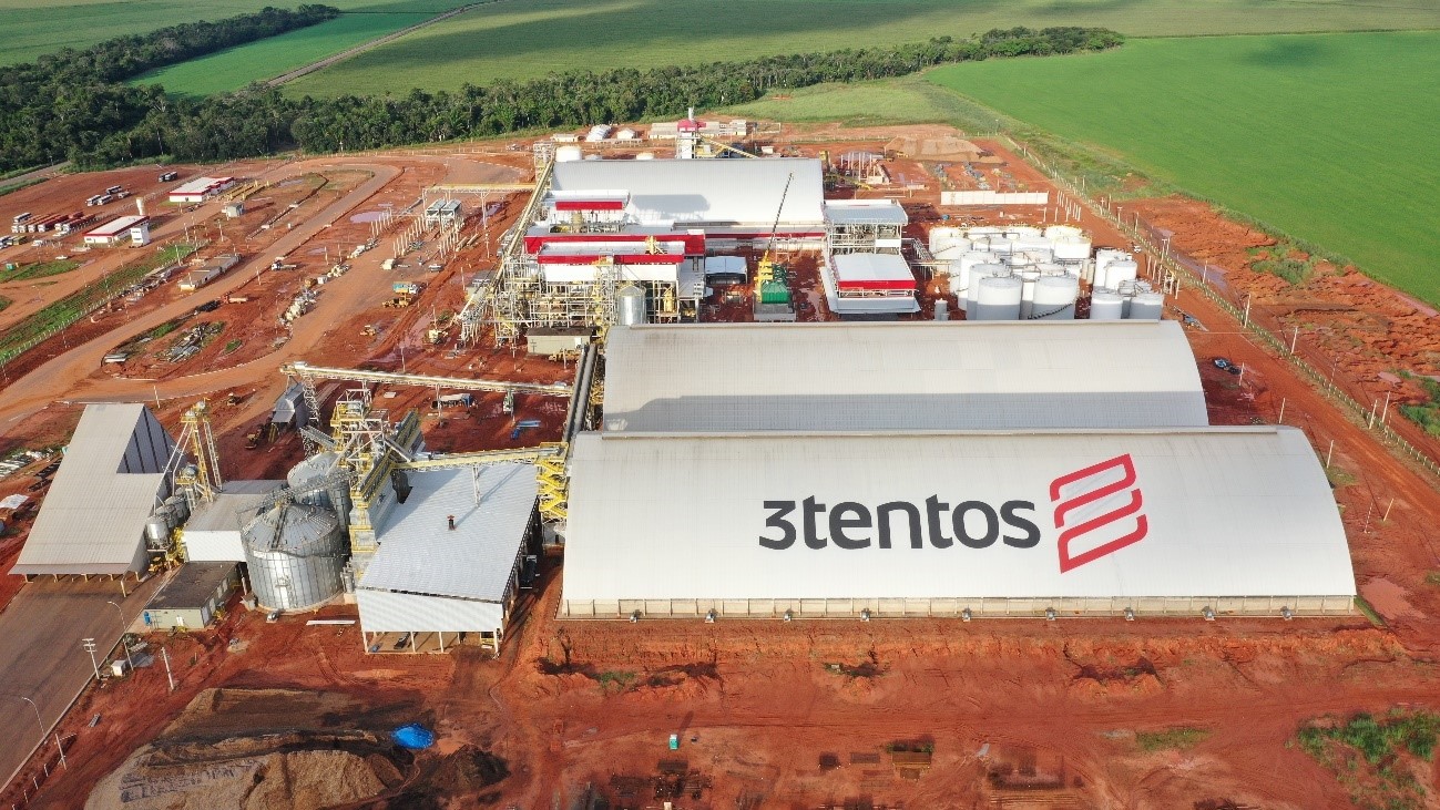 Para a 3tentos, a canola e a pecuária são a salvação da lavoura