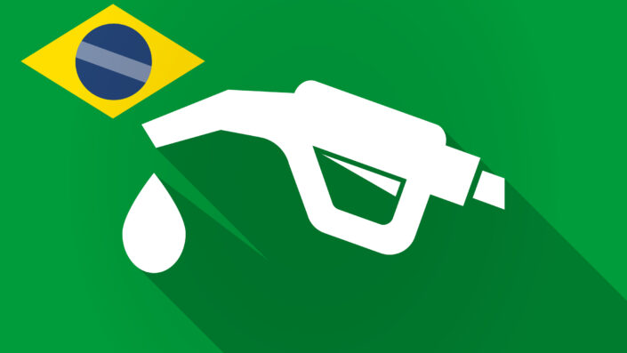 OPINIÃO. Boi no Pasto, PF no posto. Governos populistas e suas soluções fantasiosas