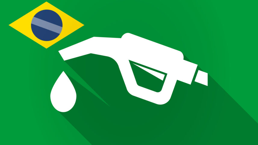 OPINIÃO. Boi no Pasto, PF no posto. Governos populistas e suas soluções fantasiosas